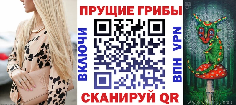 Псилоцибиновые грибы MAGIC MUSHROOMS  Купить закладки  Брянск 